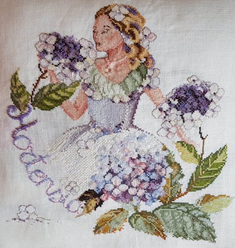 (image for) Hortensia